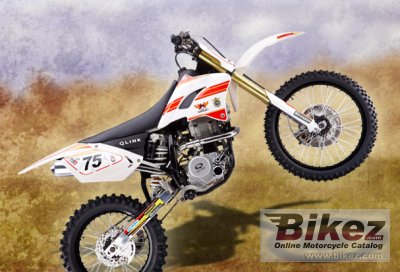 2012 Qlink DB 250 photo